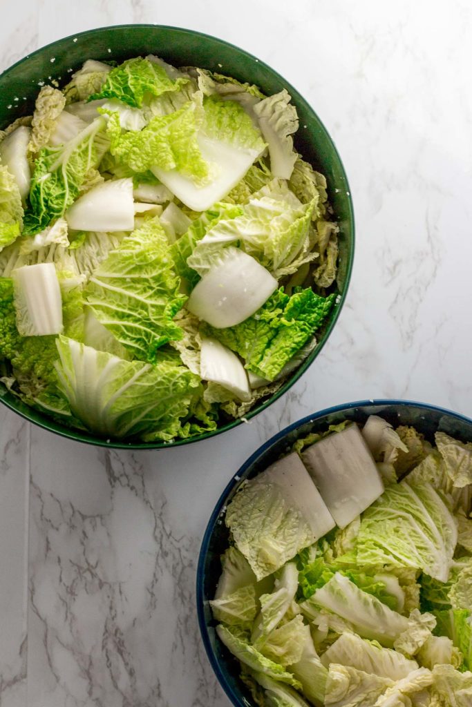 Cut up napa cabbage in two big bowls with Korean coarse sea salt sprinkled on top of them