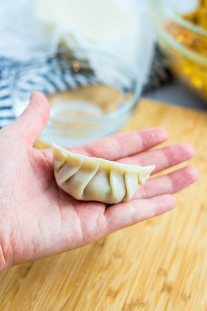 completely folded mandu/dumpling