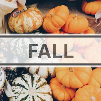 Fall