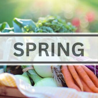 Spring