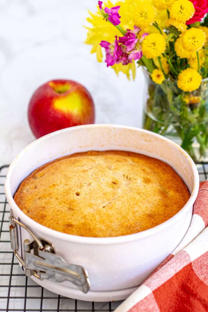 Freshly baked golden mini spiced apple cake cooling in a springform pan