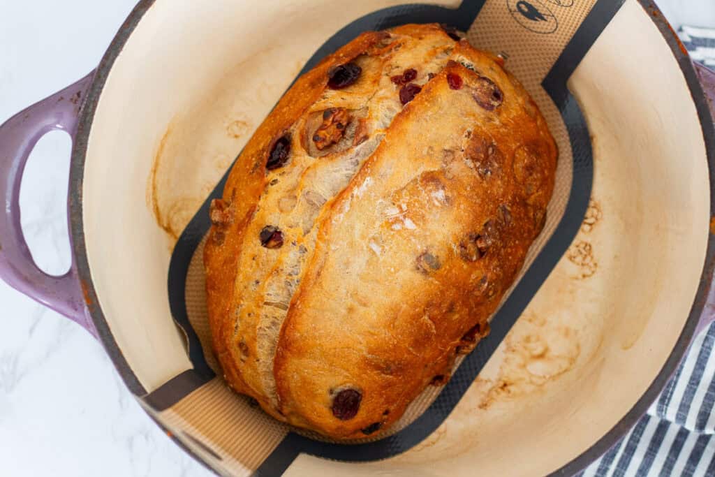 Golden baked cranberry walnut loaf inside a Dutch oven after baking.