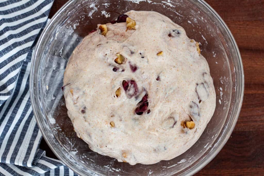 Cranberry walnut dough after bowl folds with inclusions evenly distributed.