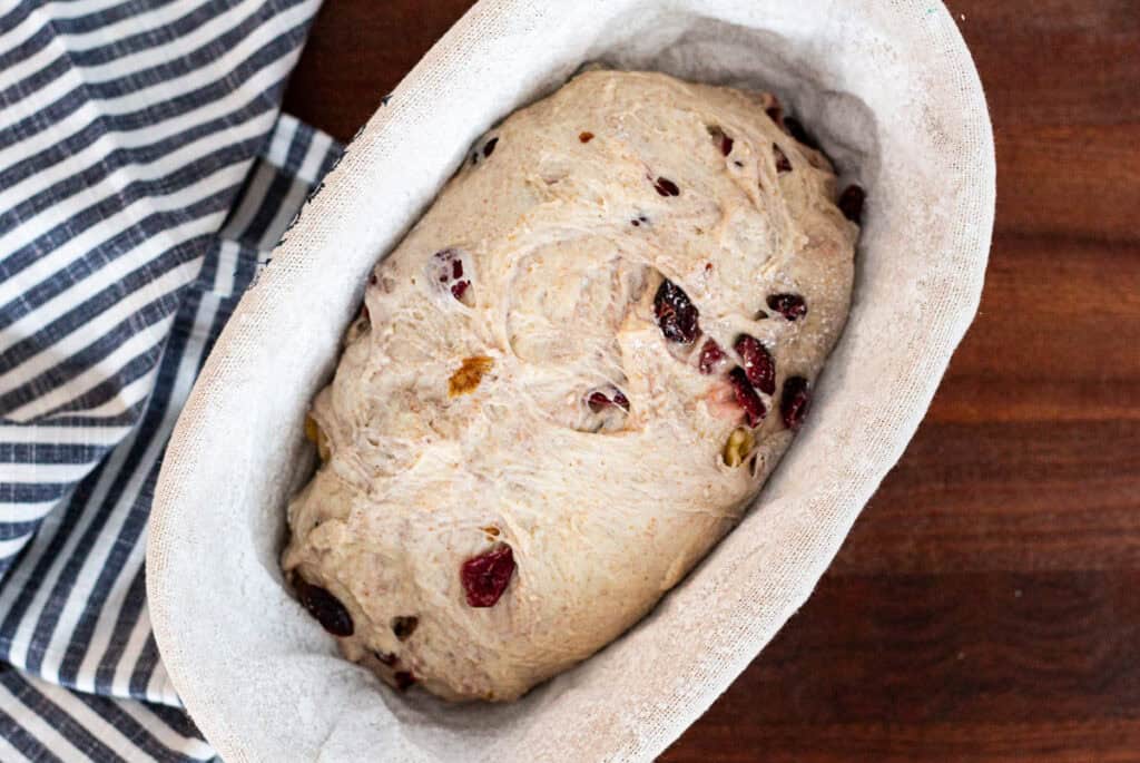 Shaped cranberry walnut loaf resting in a floured banneton before chilling.