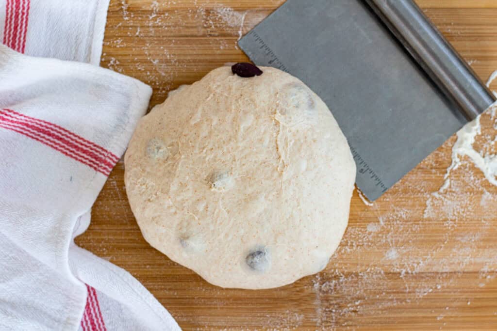 Olive sourdough dough preshaped into a round before final shaping