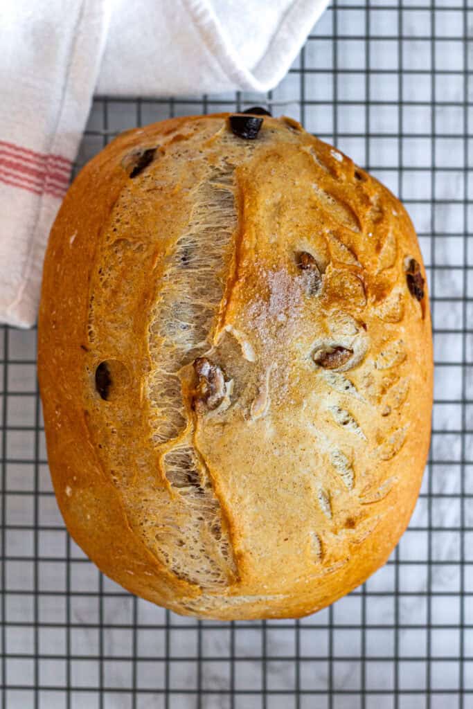 Golden baked sourdough olive bread cooling on a wire rack