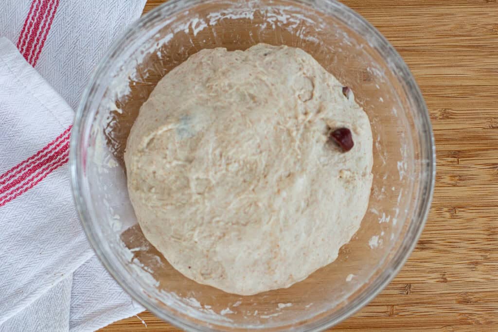 Sourdough olive dough after completing folds, with olives evenly distributed
