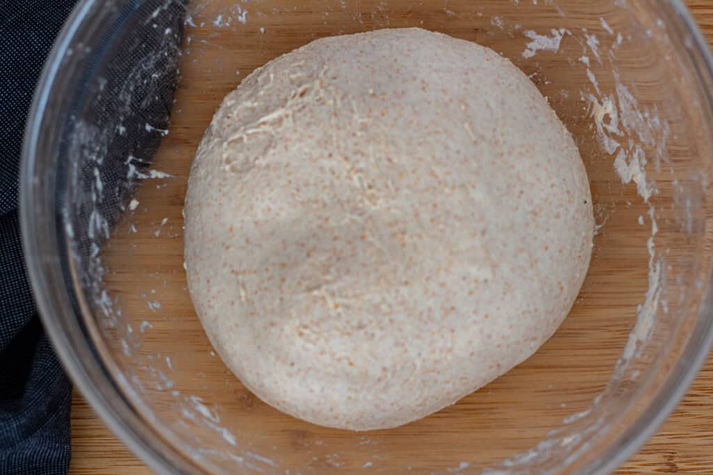 Smooth, elastic dough after completing two full sets of bowl folds.