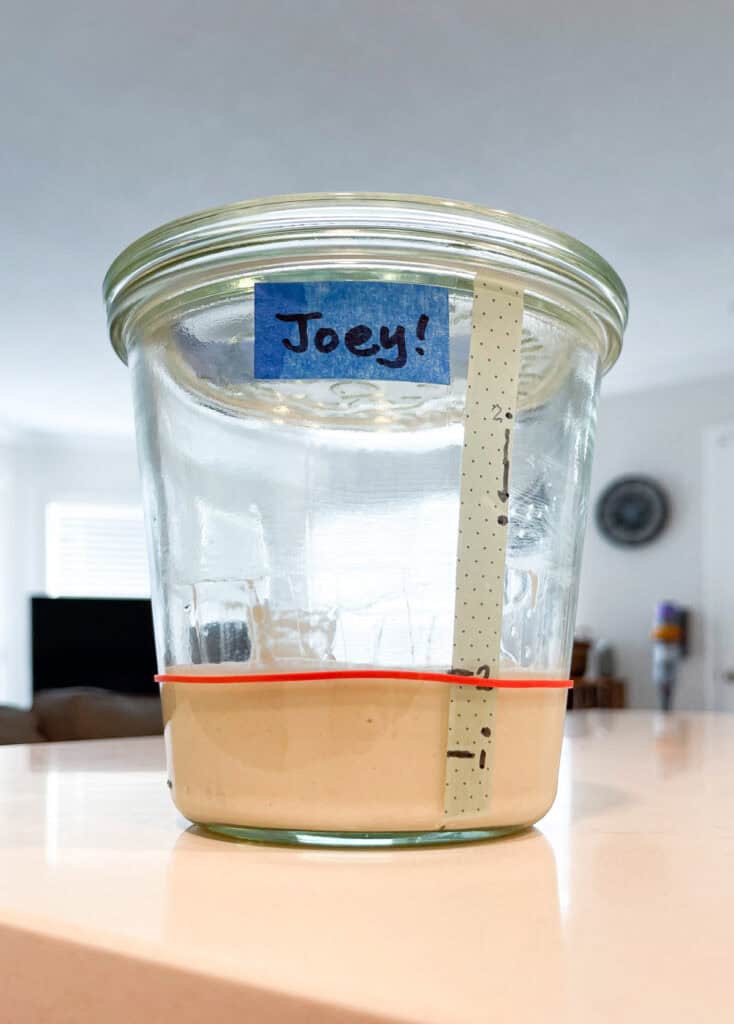 Sourdough starter at its starting level in a glass jar labeled Joey, showing the beginning stage for a sourdough beginner.