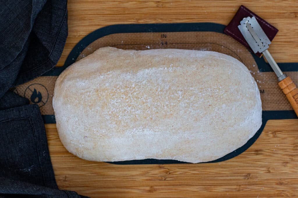 Loaf of sourdough discard bread dough dusted with flour and resting on a silicone mat before scoring.