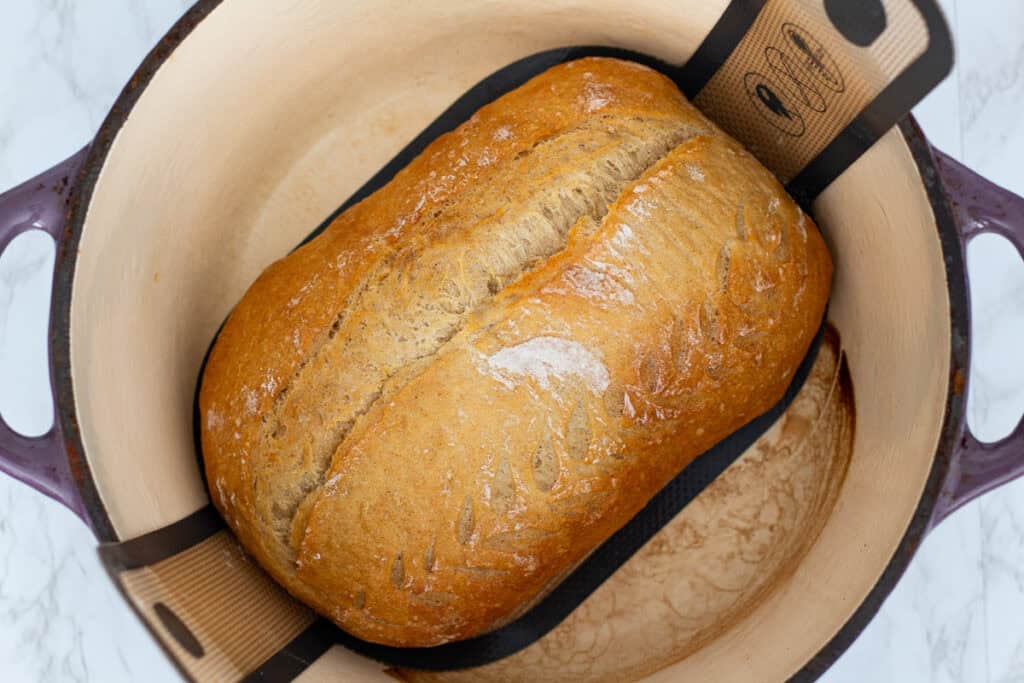 Freshly baked sourdough discard loaf resting inside a Dutch oven with a golden crust and open score.