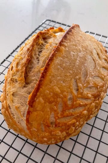 Golden sourdough loaf with a tall ear and blistered crust, highlighting progress made after sourdough beginner trials.