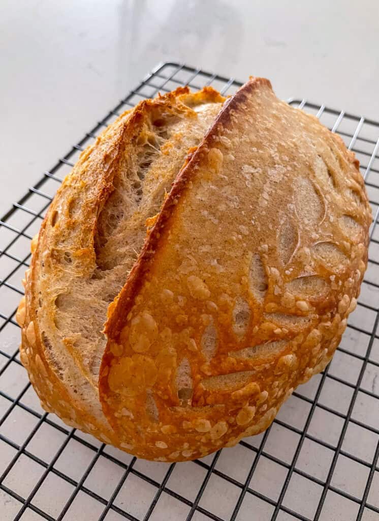 Golden sourdough loaf with a tall ear and blistered crust, highlighting progress made after sourdough beginner trials.