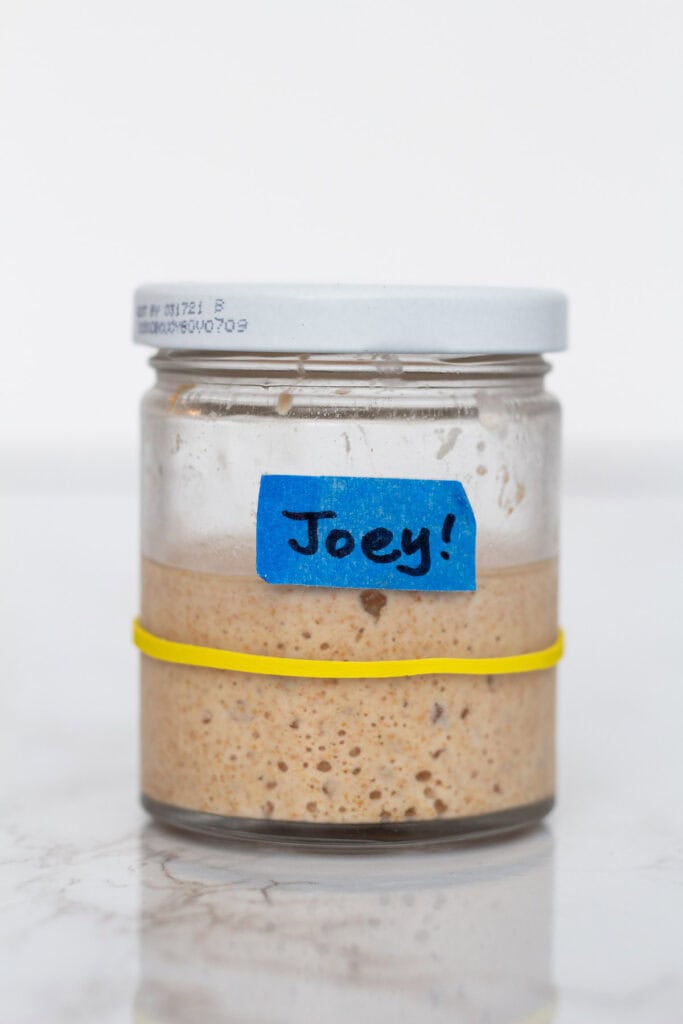 A sourdough starter named Joey, used to create sourdough discard for baking bread.