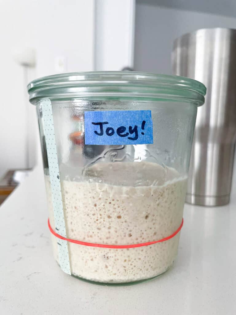 Sourdough starter in a jar labeled “Joey” during the false start phase, showing a bubbly surface from early non-yeast activity before collapsing.