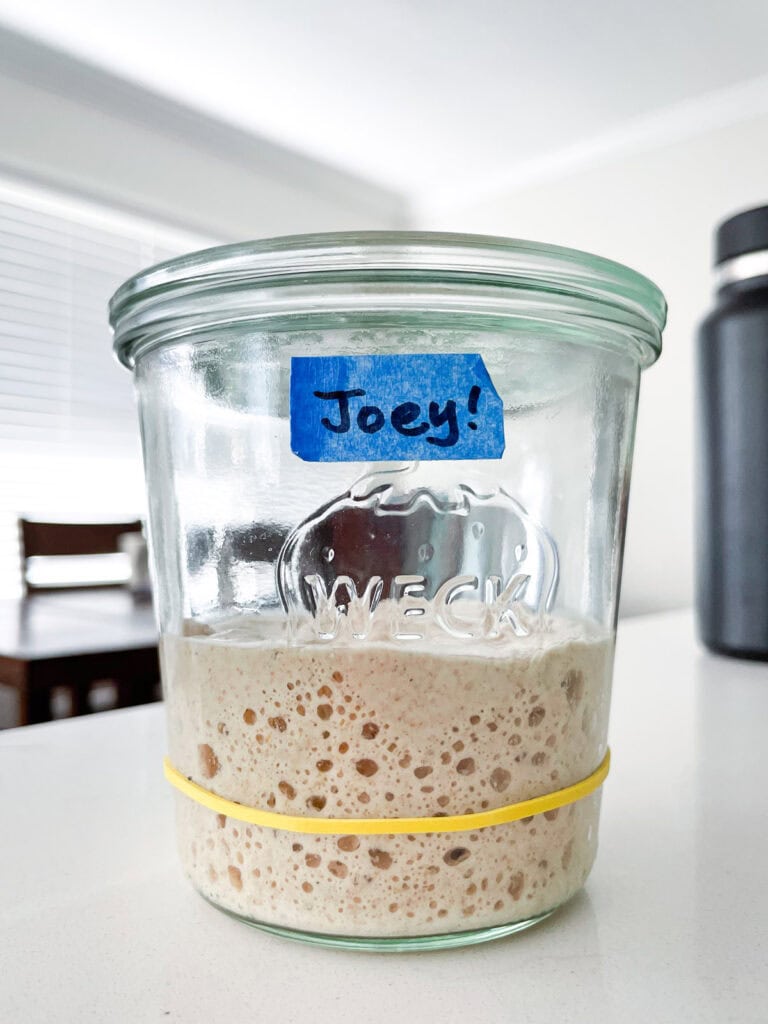 Fully risen sourdough starter with bubbles in a glass jar, a clear example of what an active starter looks like for sourdough beginners.