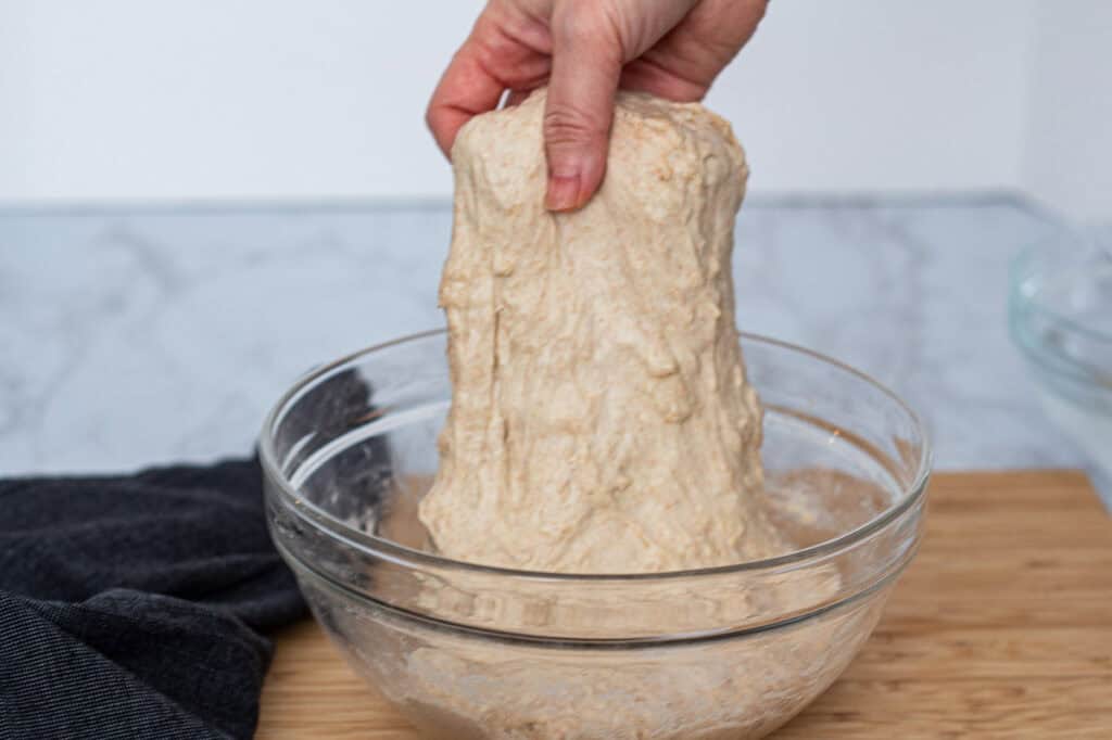 Starting the first bowl fold by lifting and stretching the dough during the first set.