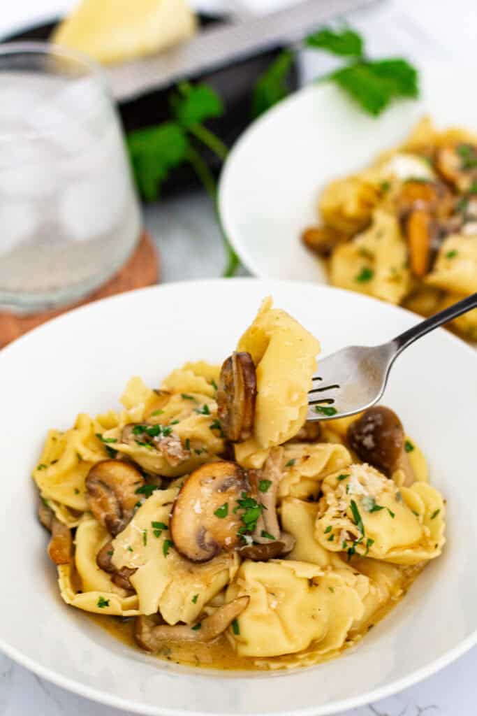 Forkful of cheese tortellini and mushrooms coated in creamy miso sauce