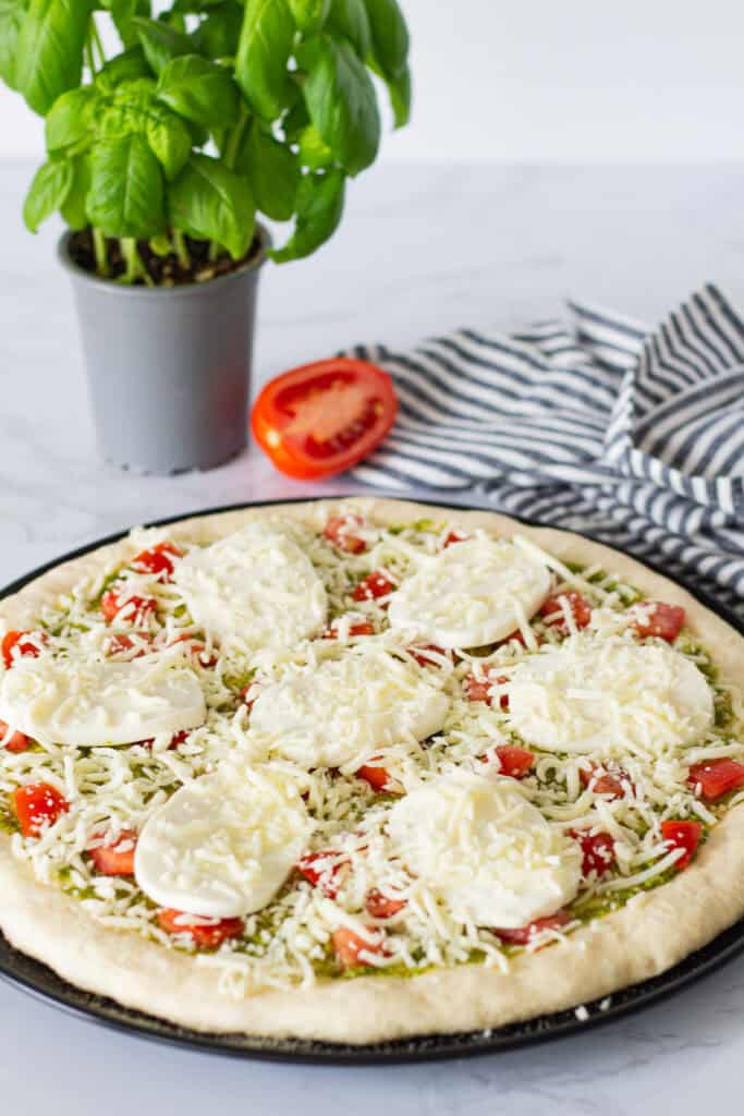 Pesto tomato pizza assembled with basil pesto, diced tomatoes, fresh mozzarella, and shredded mozzarella before baking.