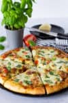 Whole homemade pesto tomato pizza topped with melted mozzarella, diced tomatoes, fresh basil, and Parmesan.