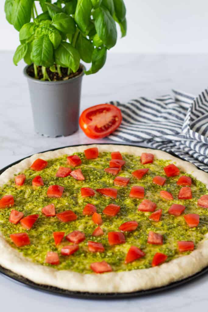 Pizza dough spread with basil pesto and topped with seeded diced Roma tomatoes before adding the cheese.