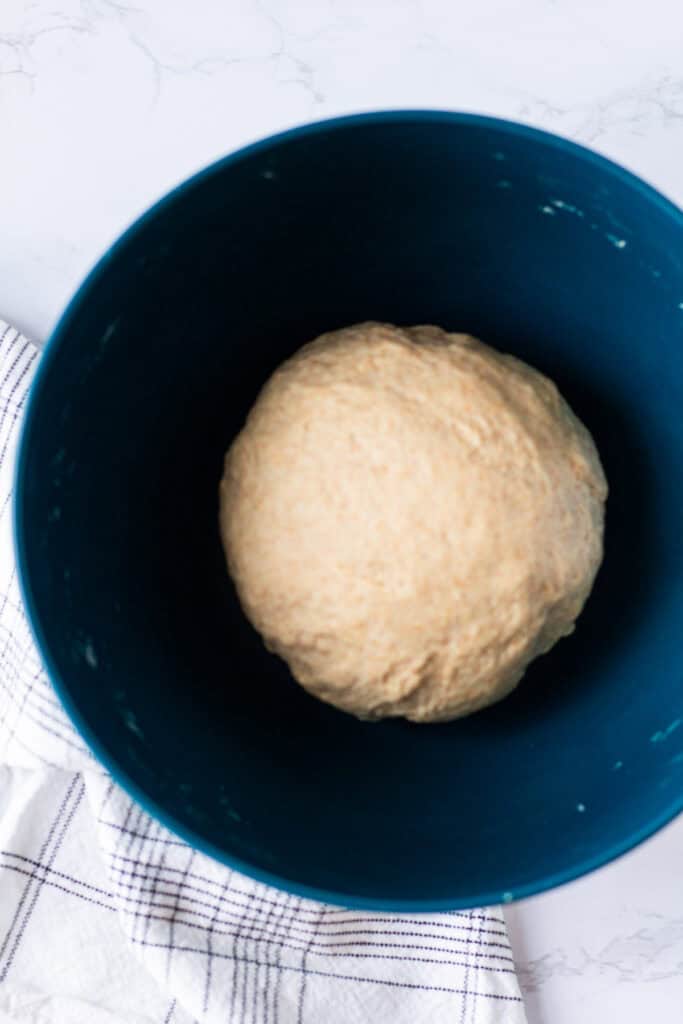 Kneaded honey wheat bread dough in a mixing bowl before the first rise