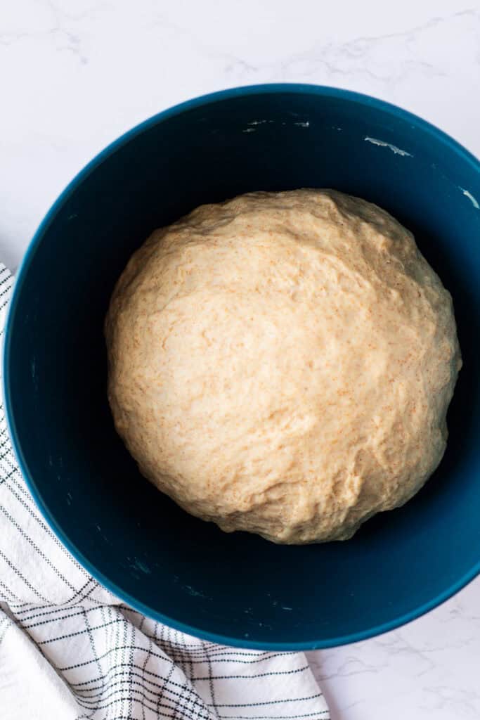 Honey wheat bread dough after rising until roughly doubled in size
