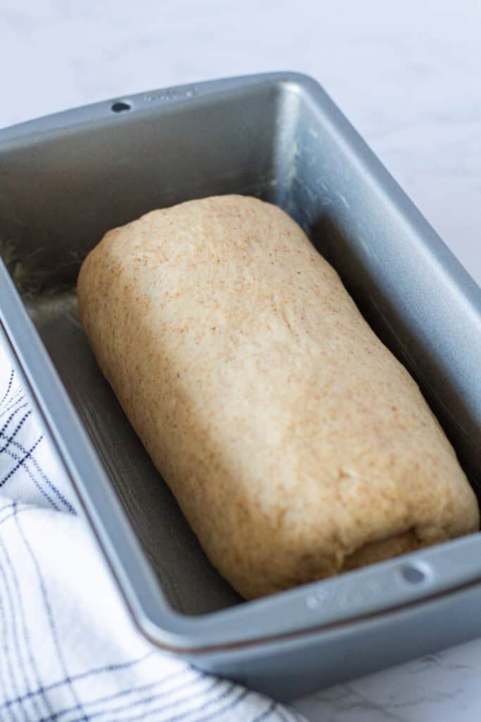 Shaped honey wheat bread dough placed seam-side down in a loaf pan before the second rise
